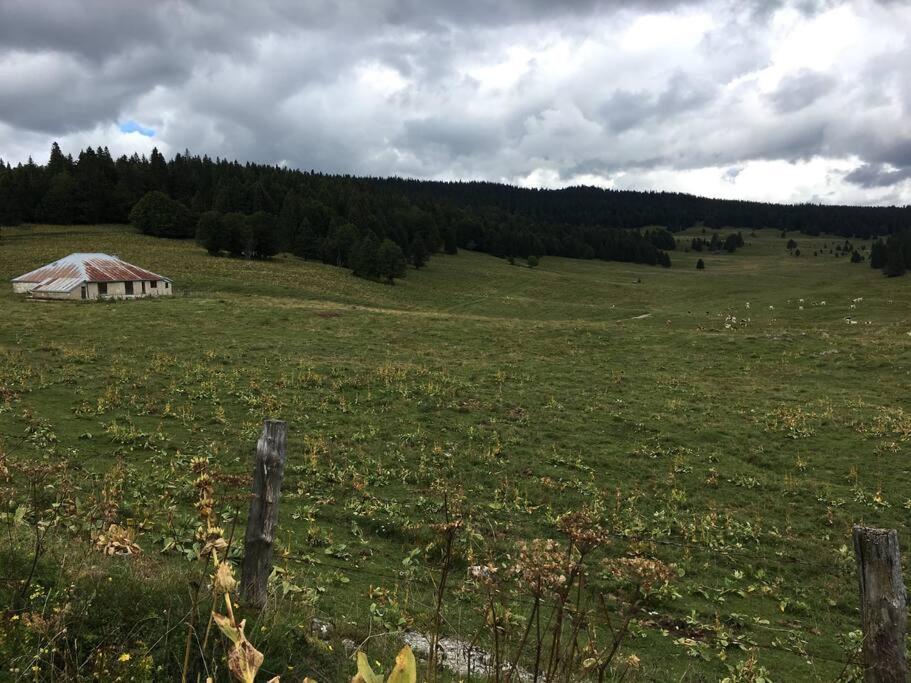 Au Coeur Du Village De Prémanon エクステリア 写真